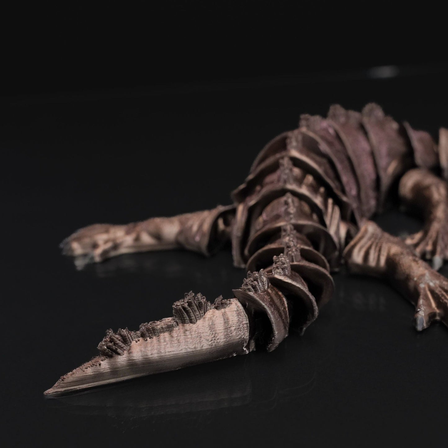 Articulated Nothosaurus