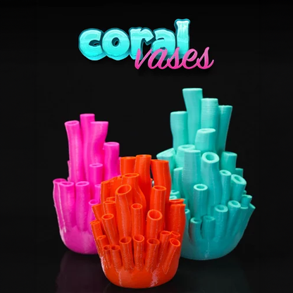Coral Vases