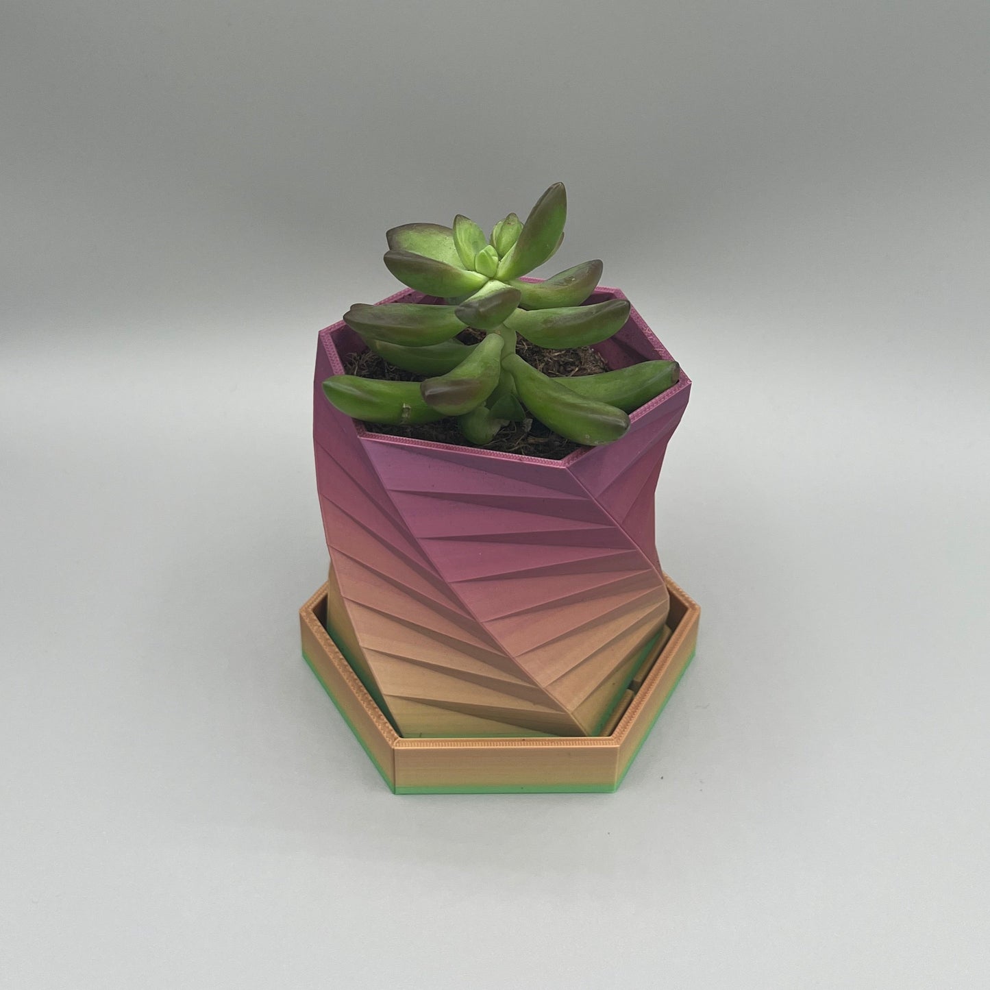 Geometric Planter