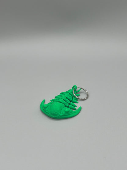 Articulated Trilobite Arthropod