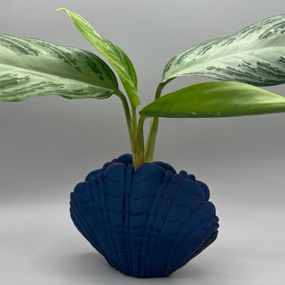 Shell Vase
