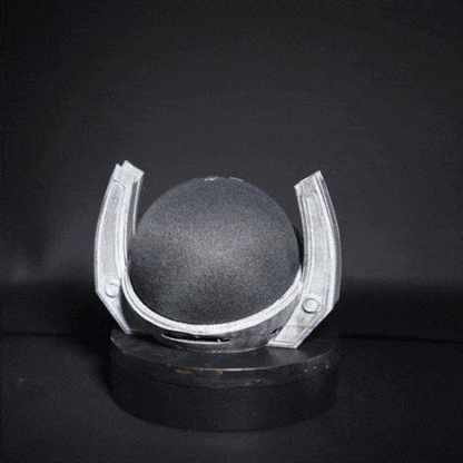 Infinity Alexa Holder