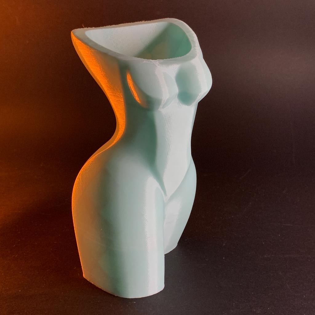 Muse Vases Collection
