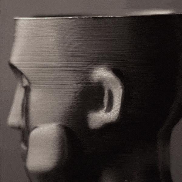 Face Vases