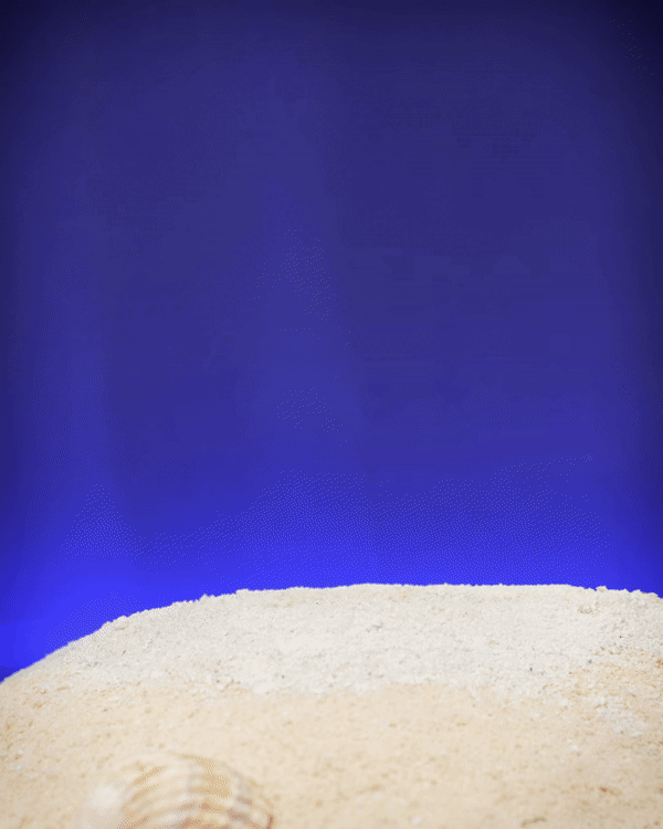 Heady Prints 3D printed gold anglerfish, animated