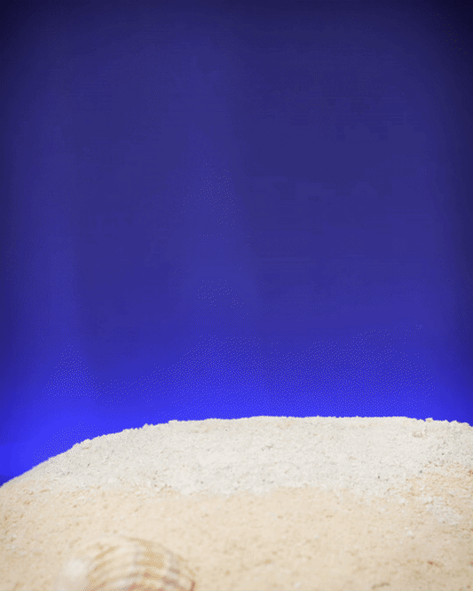 Heady Prints 3D printed gold anglerfish, animated