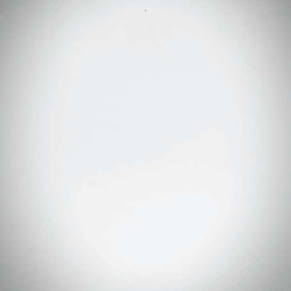 Heady Prints 3D printed articulated nothosaurus figurine, animated product view