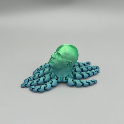 Heady Prints 3D printed multicolor articulated rocktopus, top view