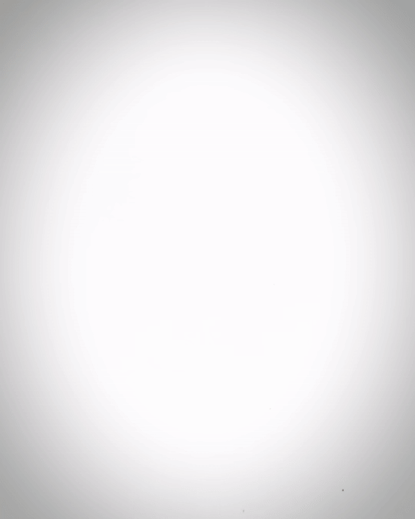 Heady Prints 3D printed grey baby ankylosaurus, animated