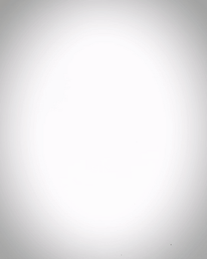 Heady Prints 3D printed grey baby ankylosaurus, animated