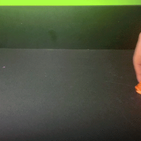 Heady Prints 3D printed orange Boterpillar articulated figurine, animated product view