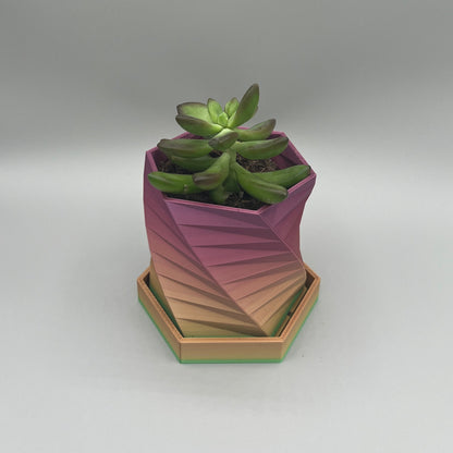 Heady Prints 3D printed pink and gold geometric planter, with plant