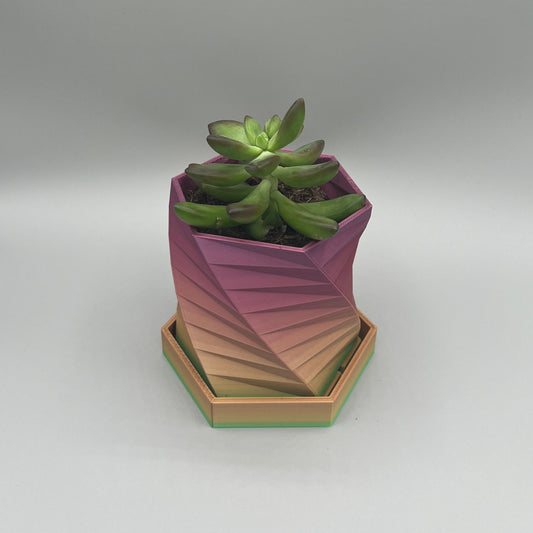 Heady Prints 3D printed pink and gold geometric planter, with plant
