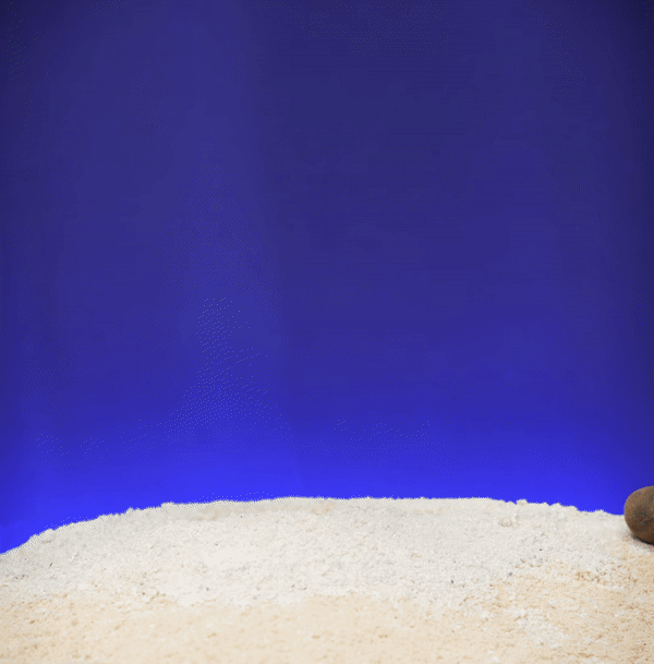 Heady Prints 3D printed blue and silver marlin fish figurine, animated product view