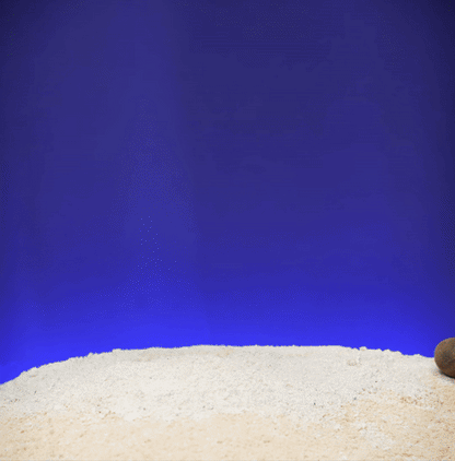 Heady Prints 3D printed blue and silver marlin fish figurine, animated product view