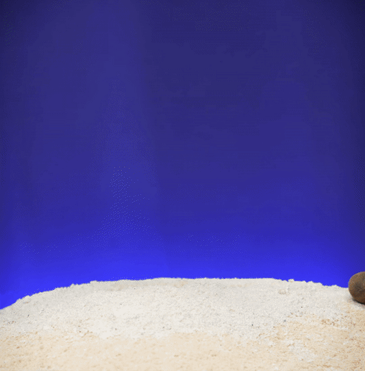 Heady Prints 3D printed blue and silver marlin fish figurine, animated product view