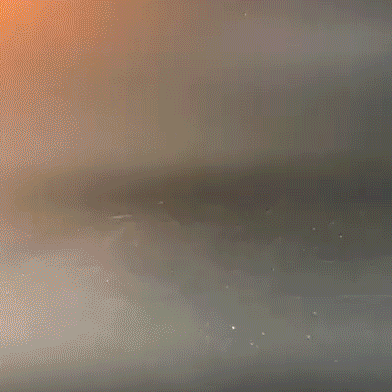 Heady Prints 3D printed red pterodactyl, animated