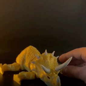 Heady Prints 3D printed articulated triceratops figurine, animated product view